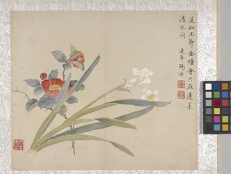 Album de 8 feuilles de fleurs, milieu des années 1700