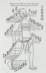 Acupuncture : « Méridien de l