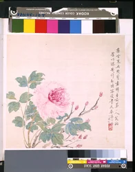 Album de fleurs et d