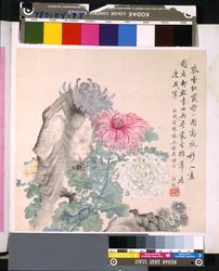 Album de fleurs et d