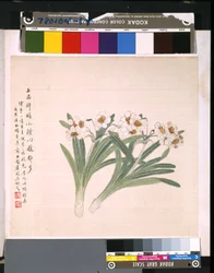 Album de fleurs et d