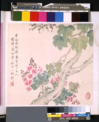 Album de fleurs et d