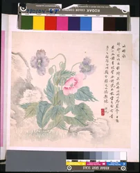 Album de fleurs et d