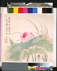 Album de fleurs et d