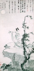 Belle femme présentant la longévité