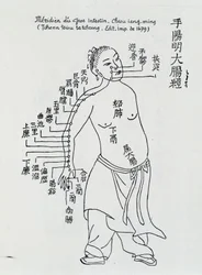 Acupuncture chinoise : le gros intestin