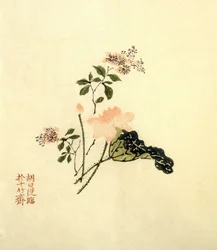 Fleur de lotus - encre sur papier, Chine