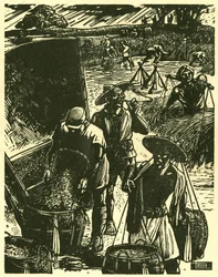 Coopérative de soldats et de civils de Sung Ping-heng, soldats et paysans travaillant ensemble pour récupérer le blé. Gravure sur bois, dans "Woodcuts of war-time China 1937-1945", Shanghai