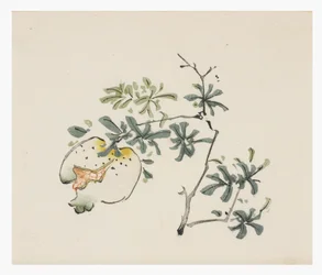 Série des Dix Bambous