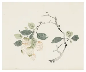 Série des Dix Bambous