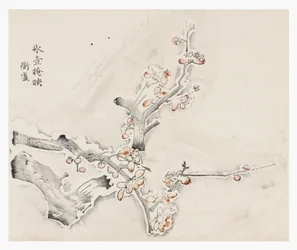 Série des Dix Bambous