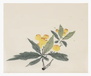 Série des Dix Bambous