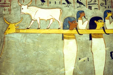 Égypte ancienne, peinture, dieux du monde souterrain attachés à Hathor, vache divine, remorquant la barque solaire, tombeau de Ramsès I, Thèbes