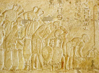 Égypte ancienne, peinture murale, Tombe de Petosiris, 300 av. J.-C., Tuna el-Gebel, Collecte et mise en bouteille du vin