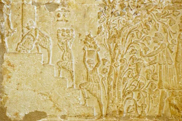 Égypte ancienne, sculpture murale, tombe de Petosiris, Tuna el Gebel, 300 av. J.-C., transport de raisins au pressoir