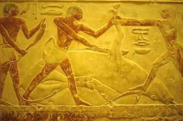 Égypte ancienne, peinture murale, Mastaba/Tombe d