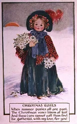 Roses de Noël