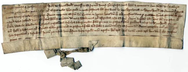 Actes médiévaux