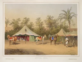 Camp en Égypte