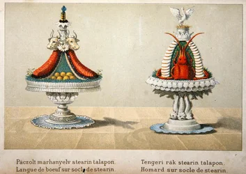 Conception pour la présentation de la langue de bœuf sur un lit de stéarine et pour le homard, illustration d