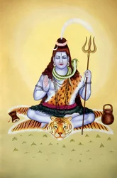 Seigneur Shiva Shanker
