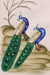 Peinture miniature sur papier : paon