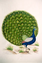 Peinture miniature sur soie, Paon