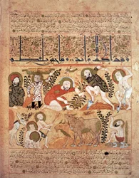 Illustration du 