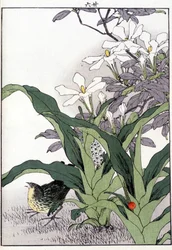 Oiseau dans les fleurs - Estampe japonaise