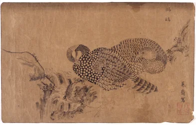 Deux oiseaux