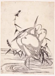 Deux hérons
