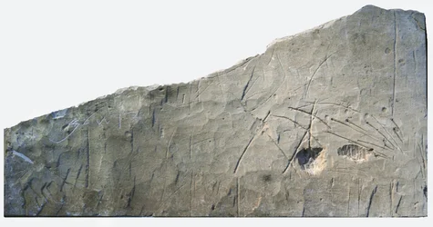 Inscription funéraire hébraïque de Beth Loya, contreforts de Judée, Israël, VIe siècle av. J.-C. (pierre)