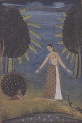 "Kakubha Ragini" : une dame se tient dans une clairière et nourrit deux paons, Lucknow, moghol provincial, d