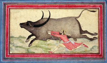 Buffle en fuite, Johnson Album XIV, no.11, verso, c.1700