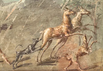 Aime la chasse, Herculanum