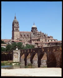 Vue du pont romain sur la rivière Tormes et de la cathédrale