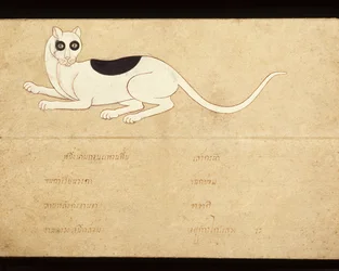 Feuille d