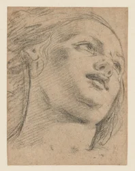 Étude de tête féminine regardant vers la droite (recto); Étude de deux figures soutenant un objet (verso)