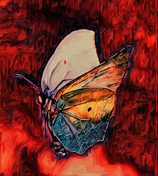 Papillon, 2021