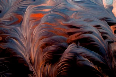 Plume