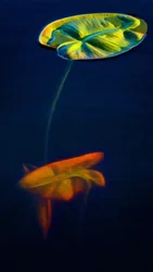 T_Lys3