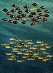 Poisson, 2010 (scratchboard, colorisé numériquement)