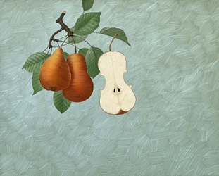 Pyris Stradivarius, 2016 (scratchboard, colorisé numériquement)