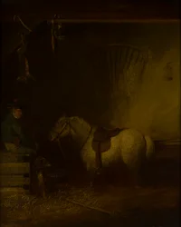 Poney dans un intérieur d