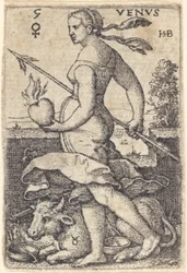 Vénus
