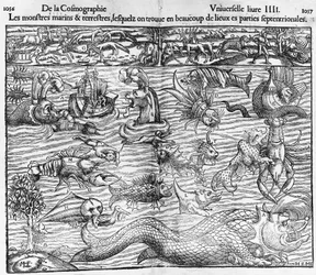 Monstres marins et terrestres, illustration de la Cosmographia Universalis de Sebastian Munster (1489-1552)