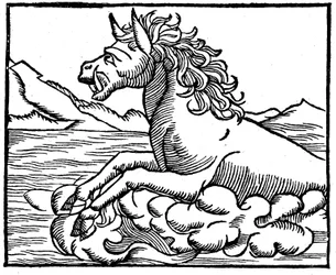 Monstre marin