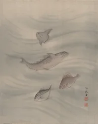 Poissons