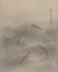 Crevette Ebi, vers 1890-92