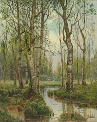 Un ruisseau traversant un bois de bouleaux